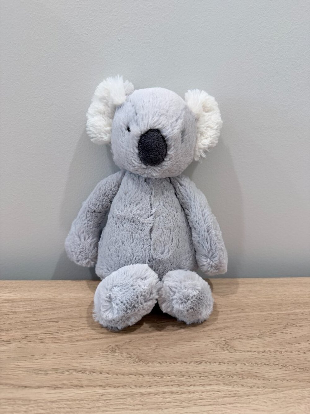 Jellyct Bashful Koala ORIGINAL